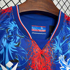 Crystal Palace Home - 2024/25