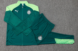 Agasalho Palmeiras - 2024/25